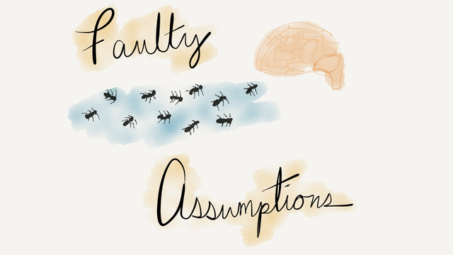 Faulty assumptions